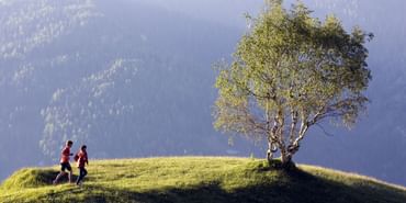 Ein Paar joggt auf einem Hügel neben einer alten Birke in Serfaus Berglandschaft